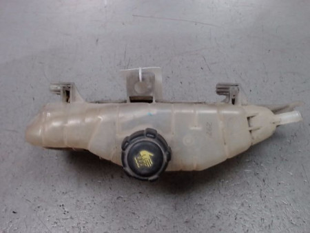 VASE EXPANSION RENAULT CLIO III 2005-