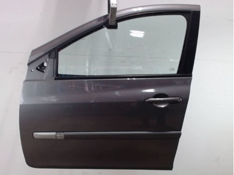 PORTE AVANT GAUCHE RENAULT CLIO III 2009-