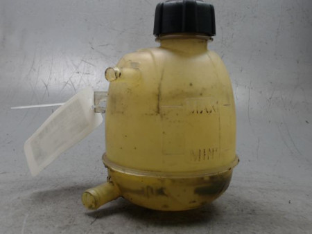 VASE EXPANSION RENAULT MEGANE I PH2 99-02