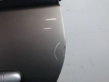 PORTE ARRIERE GAUCHE RENAULT SCENIC II PH2 2006-