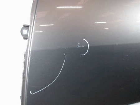 PORTE ARRIERE GAUCHE RENAULT SCENIC II PH2 2006-