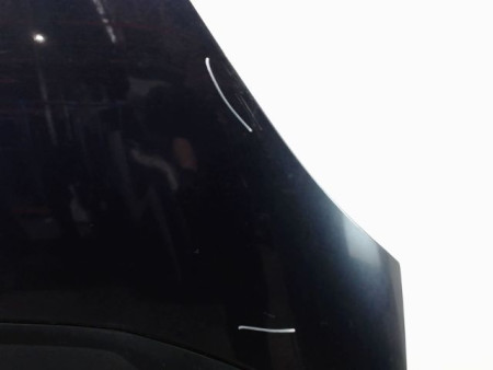 CAPOT CITROEN C4 PICASSO LONG