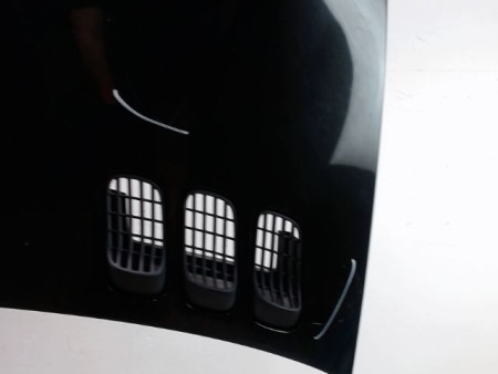 CAPOT RENAULT TWINGO PH.3 2000-2007