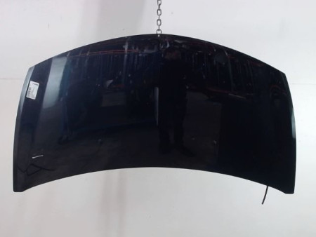CAPOT RENAULT CLIO III 2009-