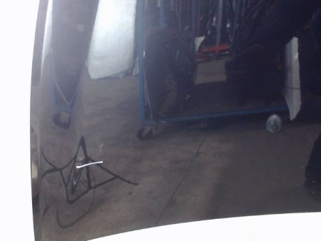 CAPOT RENAULT CLIO III 2009-