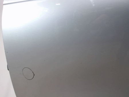 PORTE AVANT GAUCHE RENAULT CLIO