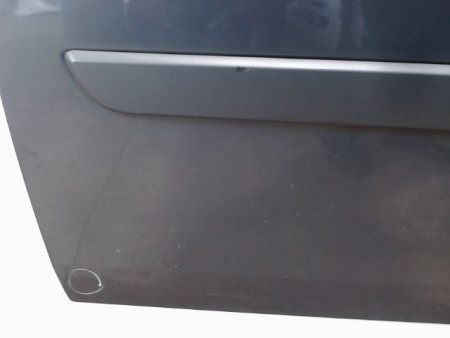 PORTE AVANT GAUCHE RENAULT SCENIC II PH2 2006-