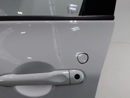 PORTE AVANT GAUCHE RENAULT ZOE