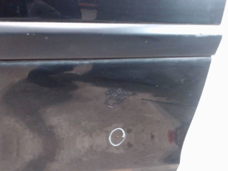 PORTE AVANT GAUCHE RENAULT CLIO III 2009-